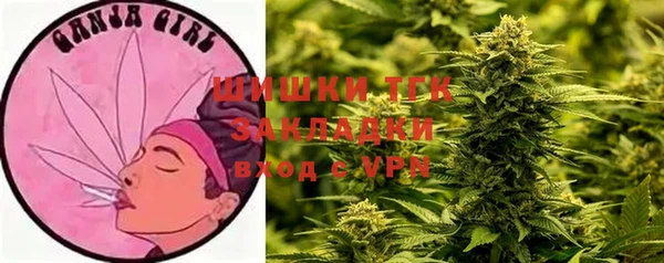 круглые Абаза